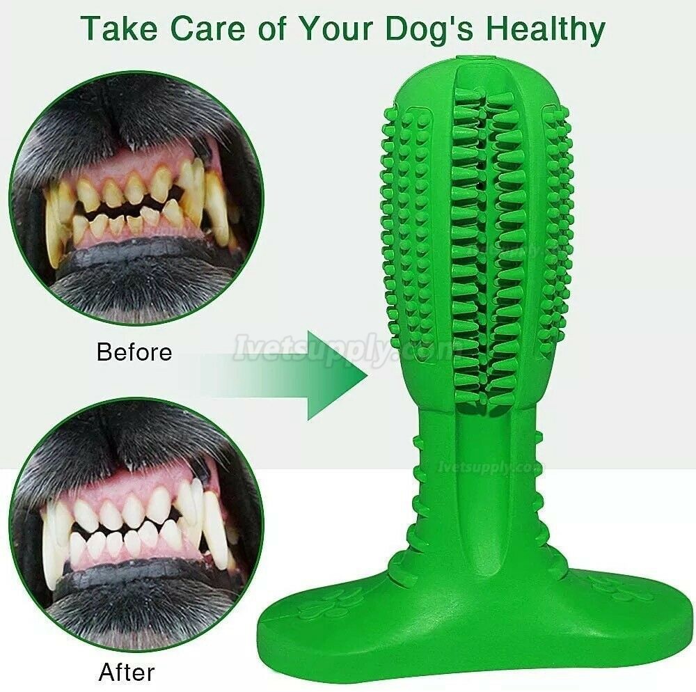 Pet Dog Chew Toys Aggressive Chewers Teeth Cleaning Oral Toothbrush Rubber Bone